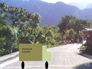 FRUTAS DE
CALIDAD
 