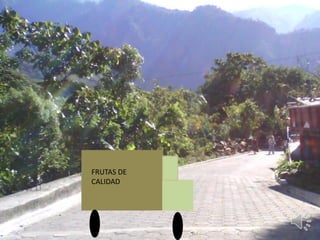 FRUTAS DE
CALIDAD
 