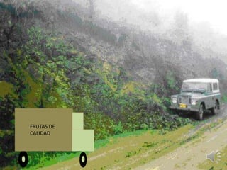 FRUTAS DE
CALIDAD
 