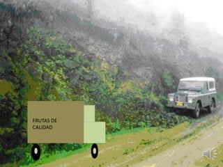 FRUTAS DE
CALIDAD
 