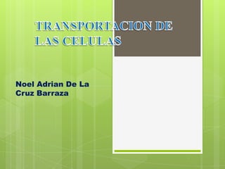 Noel Adrian De La
Cruz Barraza
 