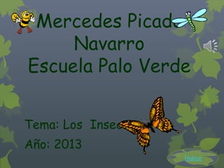 Mercedes Picado
Navarro
Escuela Palo Verde
Tema: Los Insectos
Año: 2013
Índice
 