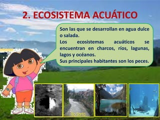 El ecosistema explicado para niños.
