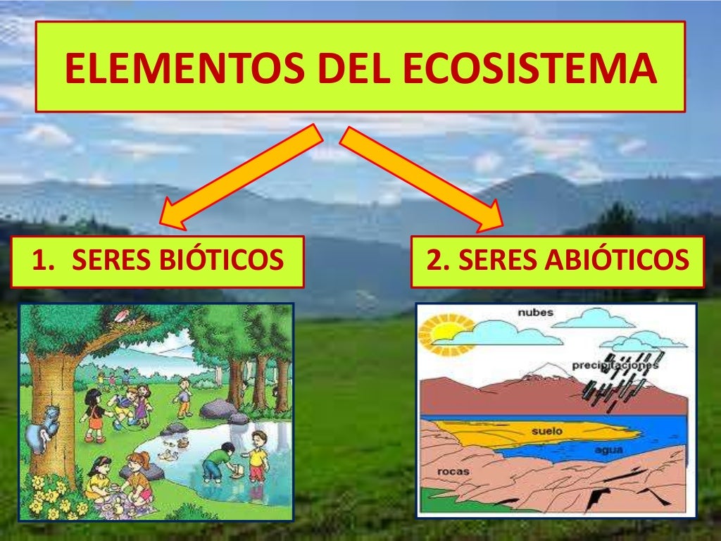 El ecosistema explicado para niños.