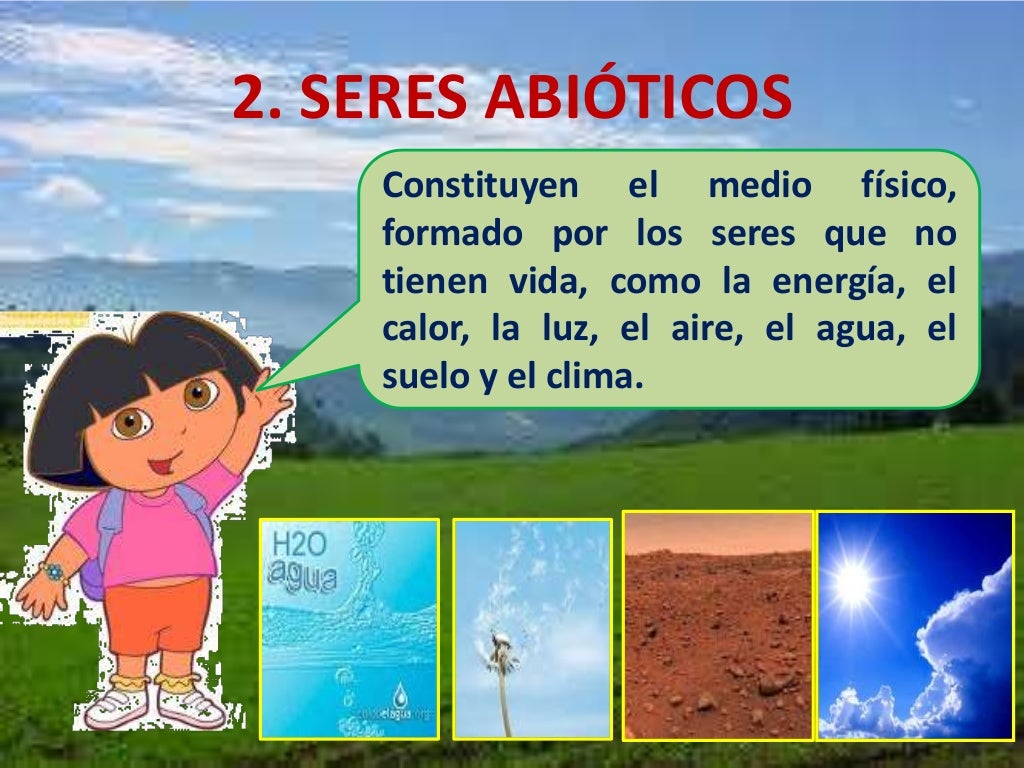 Que Es Un Ecosistema Para Ninos De Cuarto Grado Noticias Ninos Images