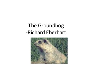 The Groundhog
-Richard Eberhart
 