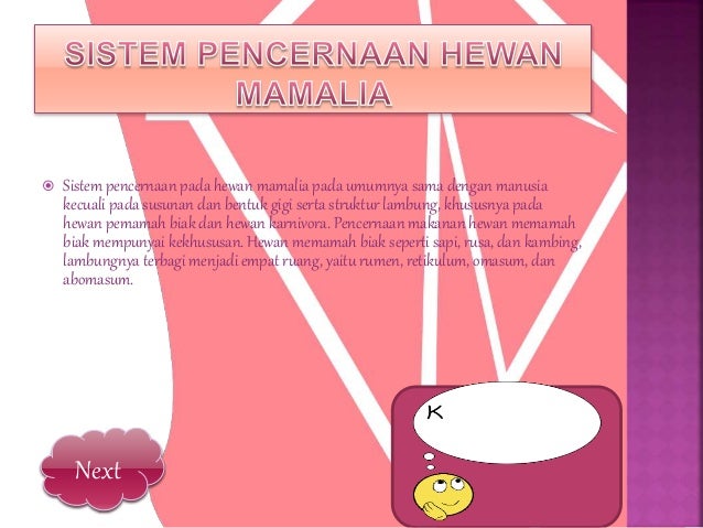Power Point