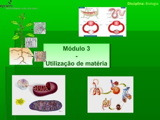 Disciplina: Biologia

Módulo 3
Módulo 3
-Utilização de matéria
Utilização de matéria

 