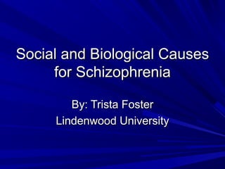 Social and Biological Causes
for Schizophrenia
By: Trista Foster
Lindenwood University

 