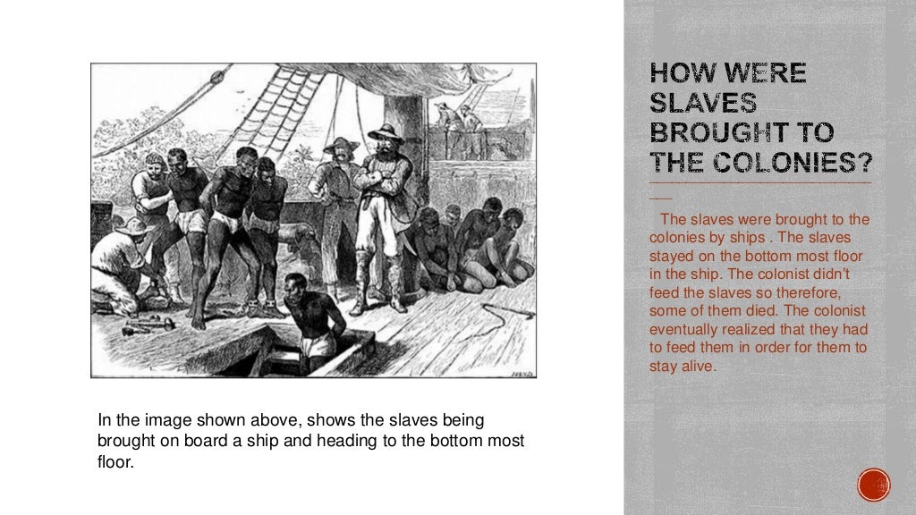 Flvs Us History 3.01 Assignment