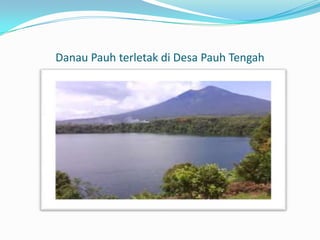 Danau Pauh terletak di Desa Pauh Tengah

 