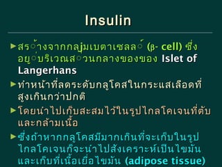 Insulin
► สร ้้างจากกลุjมเบตาเซลล ้์ (β า งจากกลุ

cell) ซึ่ง
อยู้่บริเ วณส ้่ว นกลางของของ Islet of
้ บ ริ
่
Langerhans
► ทํา หน้า ที่ล ดระดับ กลูโ คสในกระแสเลือ ดที่
สูง เกิน กว่า ปกติ
► โดยนํา ไปเก็บ สะสมไว้ใ นรูป ไกลโคเจนที่ต บ
ั
และกล้า มเนือ
้
► ซึ่ง ถ้า หากกลูโ คสมีม ากเกิน ที่จ ะเก็บ ในรูป
ไกลโคเจนก็จ ะนํา ไปสัง เคราะห์เ ป็น ไขมัน
และเก็บ ที่เ นือ เยื่อ ไขมัน (adipose tissue)
้

 