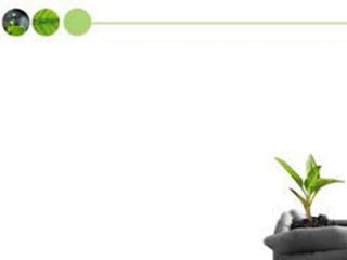 Power point นำเสนองานวิจัย