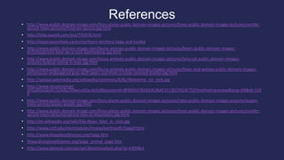 References
• http://www.public-domain-image.com/flora-plants-public-domain-images-pictures/trees-public-domain-images-pictures/conifer-
spruce-trees-pictures/frost-on-spruce.jpg.html
• http://hdw.eweb4.com/out/735078.html
• http://espacepourlavie.ca/en/northern-territory-taiga-and-tundra
• http://www.public-domain-image.com/fauna-animals-public-domain-images-pictures/bears-public-domain-images-
pictures/grizzly-bear-on-a-rock-overlooking.jpg.html
• http://www.public-domain-image.com/fauna-animals-public-domain-images-pictures/lynx-cat-public-domain-images-
pictures/bobcat-sitting-in-tree.jpg.html
• http://www.public-domain-image.com/fauna-animals-public-domain-images-pictures/foxes-and-wolves-public-domain-images-
pictures/an-endangered-gray-wolf-peers-out-from-a-snow-covered-shelter.jpg.html
• http://upload.wikimedia.org/wikipedia/commons/8/8c/Wolverine_on_rock.jpg
• http://www.museevirtuel-
virtualmuseum.ca/edu/ViewLoitDa.do%3Bjsessionid=0F069167ED924C06AF1F13ECF024E753?method=preview&lang=EN&id=124
0
• http://www.public-domain-image.com/flora-plants-public-domain-images-pictures/trees-public-domain-images-pictures/aspen-
trees-pictres/aspen-woods.jpg.html
• http://www.public-domain-image.com/flora-plants-public-domain-images-pictures/trees-public-domain-images-pictures/conifer-
spruce-trees-pictures/spruce-tree-in-mountains.jpg.html
• http://en.wikipedia.org/wiki/File:Abies_fabri_in_mist.jpg
• http://www.cotf.edu/ete/modules/msese/earthsysflr/taigaP.html
• http://www.blueplanetbiomes.org/taiga.htm
• Www.blueplanetbiomes.org/taiga_animal_page.htm
• http://www.glencoe.com/qe/qe136nationaltest.php?qi=4309&st
 