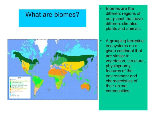 what are biomes