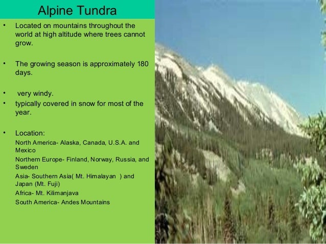 tundra characteristic