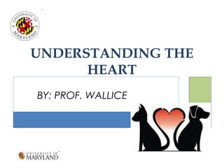 UNDERSTANDING THE 
HEART 
BY: PROF. WALLICE 
 