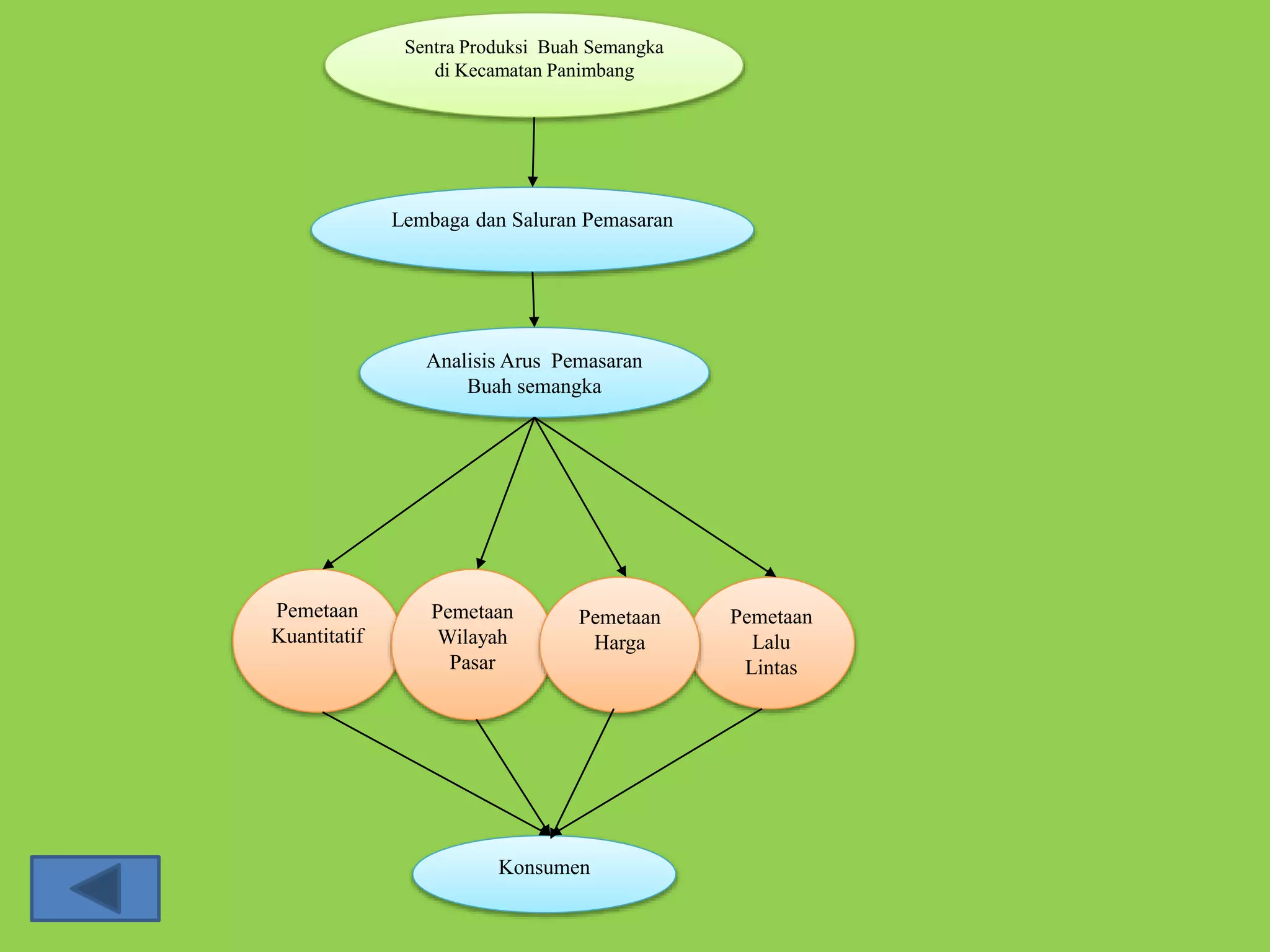 Sentra Produksi Buah Semangka 
di Kecamatan Panimbang 
Lembaga dan Saluran Pemasaran 
Analisis Arus Pemasaran 
Buah semangka 
Pemetaan 
Lalu 
Lintas 
Pemetaan 
Kuantitatif 
Pemetaan 
Wilayah 
Pasar 
Pemetaan 
Harga 
Konsumen 
