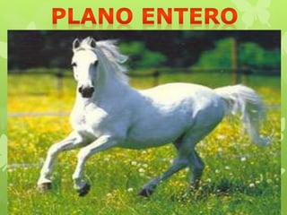 "Información Gráfica"