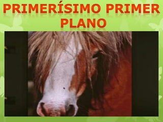 "Información Gráfica"