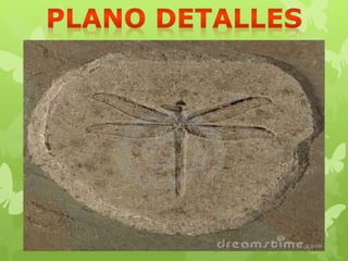 "Información Gráfica"