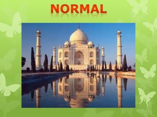 "Información Gráfica"