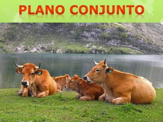 "Información Gráfica"