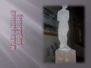 obsevacion y persepcion