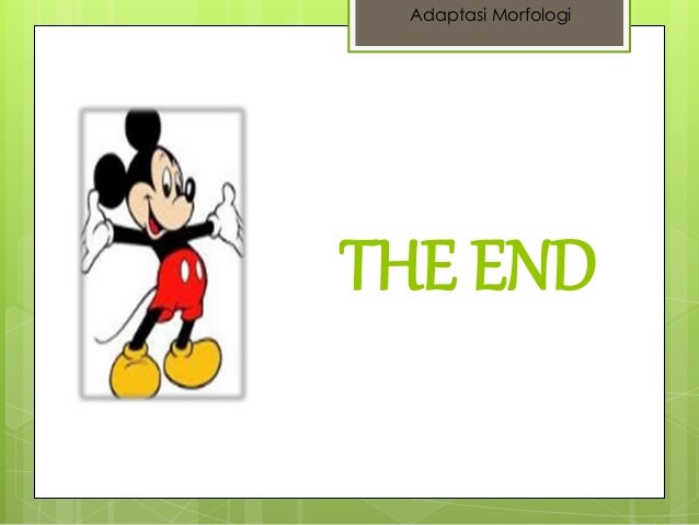 Penyesuaian makhluk hidup terhadap lingkungannya