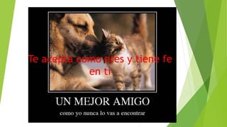 Te acepta como eres y tiene fe
en ti
 