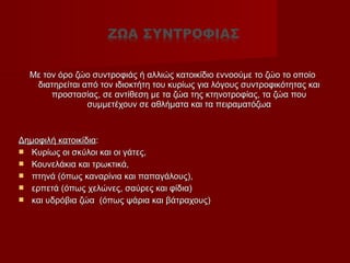 Με τον όρο ζώο συντροφιάς ή αλλιώς κατοικίδιο εννοούμε το ζώο το οποίοΜε τον όρο ζώο συντροφιάς ή αλλιώς κατοικίδιο εννοούμε το ζώο το οποίο
διατηρείται από τον ιδιοκτήτη του κυρίως για λόγους συντροφικότητας καιδιατηρείται από τον ιδιοκτήτη του κυρίως για λόγους συντροφικότητας και
προστασίας, σε αντίθεση με τα ζώα της κτηνοτροφίας, τα ζώα πουπροστασίας, σε αντίθεση με τα ζώα της κτηνοτροφίας, τα ζώα που
συμμετέχουν σε αθλήματα και τα πειραματόζωασυμμετέχουν σε αθλήματα και τα πειραματόζωα
Δημοφιλή κατοικίδιαΔημοφιλή κατοικίδια::
 Κυρίως οι σκύλοι και οι γάτες,Κυρίως οι σκύλοι και οι γάτες,
 Κουνελάκια και τρωκτικά,Κουνελάκια και τρωκτικά,
 πτηνά (όπως καναρίνια και παπαγάλους),πτηνά (όπως καναρίνια και παπαγάλους),
 ερπετά (όπως χελώνες, σαύρες και φίδια)ερπετά (όπως χελώνες, σαύρες και φίδια)
 και υδρόβια ζώα (όπως ψάρια και βάτραχους)και υδρόβια ζώα (όπως ψάρια και βάτραχους)
 