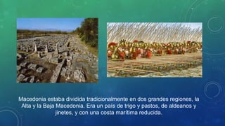 Macedonia estaba dividida tradicionalmente en dos grandes regiones, la
Alta y la Baja Macedonia. Era un país de trigo y pastos, de aldeanos y
jinetes, y con una costa marítima reducida.
 