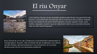 El riu Onyar
L’inici del riu Onyar va ser al poble de Brunyola situat a la província de
Girona, concretament al nord-est de la comarca de La Selva. Aquest
inclou la població de Sant Martí Sapresa i és per aquest motiu, que
moltes vegades veurem que el naixement del riu es concreta encara
més en Sant Martí Sapresa.
El riu Onyar és un riu de Catalunya concretament pertanyent a
l’àmbit gironí. Aquest, neix al Massís de les Guilleriesa una altura
de 220 metres aproximadament concretament al municipi
de Brunyola situat a la serralada prelitoral
 