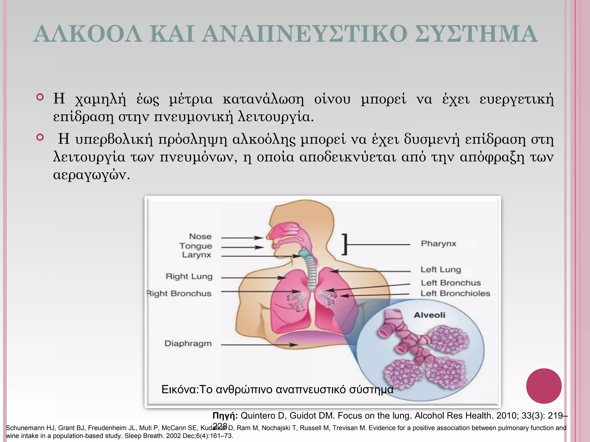 ΑΛΚΟΟΛ ΚΑΙ ΑΝΑΠΝΕΥΣΤΙΚΟ ΣΥΣΤΗΜΑ
 Η χαμηλή έως μέτρια κατανάλωση οίνου μπορεί να έχει ευεργετική
επίδραση στην πνευμονική λειτουργία.
 Η υπερβολική πρόσληψη αλκοόλης μπορεί να έχει δυσμενή επίδραση στη
λειτουργία των πνευμόνων, η οποία αποδεικνύεται από την απόφραξη των
αεραγωγών.
Πηγή: Quintero D, Guidot DM. Focus on the lung. Alcohol Res Health. 2010; 33(3): 219–
228.
Εικόνα:Το ανθρώπινο αναπνευστικό σύστημα
Schunemann HJ, Grant BJ, Freudenheim JL, Muti P, McCann SE, Kudalkar D, Ram M, Nochajski T, Russell M, Trevisan M. Evidence for a positive association between pulmonary function and 
wine intake in a population-based study. Sleep Breath. 2002 Dec;6(4):161–73. 
 