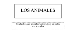 LOS ANIMALES
Se clasifican en animales vertebrados y animales
invertebrados.
 
