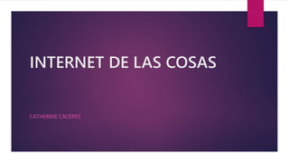 INTERNET DE LAS COSAS
CATHERINE CACERES
 