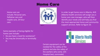 End Of Life Care | PPTX