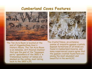 Cumberland Caves Features
PIC 7
The Crystal Palace, an extensive
avenue of exquisite gypsum crystals.
Gypsum formations of all kinds are
found in Cumberland Caverns, and
many experienced cavers agree that
the gypsum crystals found here are
among the most abundant and
beautiful in the world.[4]
The Ten Acre Room is located at the
end of Higgenbotham Cave's
Historic Route. The Ten Acre Room
is an immense, dirt-floored chamber
that was the goal of the "haywagon
party" spelunkers of the 1800's. A
tremendous number of names are
smoked on the ceiling, most dating
back to the 1800's.[4]
PIC 8
 