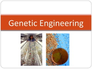 Genetic Engineering
 