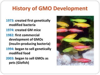 History of GMO Development
1973: created first genetically
modified bacteria
1974: created GM mice
1982: first commercial
development of GMOs
(insulin-producing bacteria)
1994: began to sell genetically
modified food
2003: began to sell GMOs as
pets (Glofish)
 