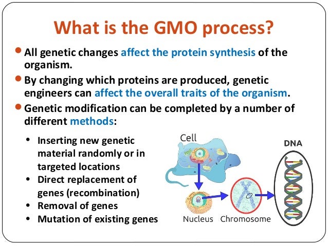 Genetic Engineering Power point