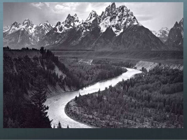 101 essays that will change the way you think malaysia image