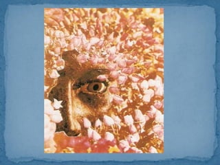 Οδυσσέας Ελύτης -Πίνακες κολάζ