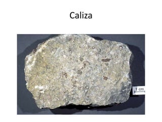 Caliza
 