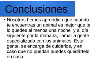 Conclusiones
● Nosotros hemos aprendido que cuando
te encuentras un animal es mejor que te
lo quedes al menos una noche y al día
siguiente por la mañana, llamar a gente
especializada con los animales. Esta
gente, se encarga de cuidarlos, y en
caso que no puedan puedes quedártelo
en casa.
 