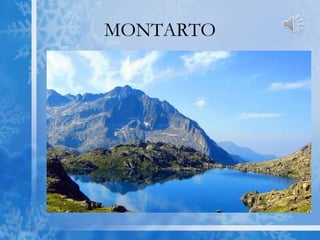 MONTARTO
 