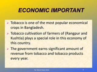 tobacco economic importance Tobacco production in Bangladesh
