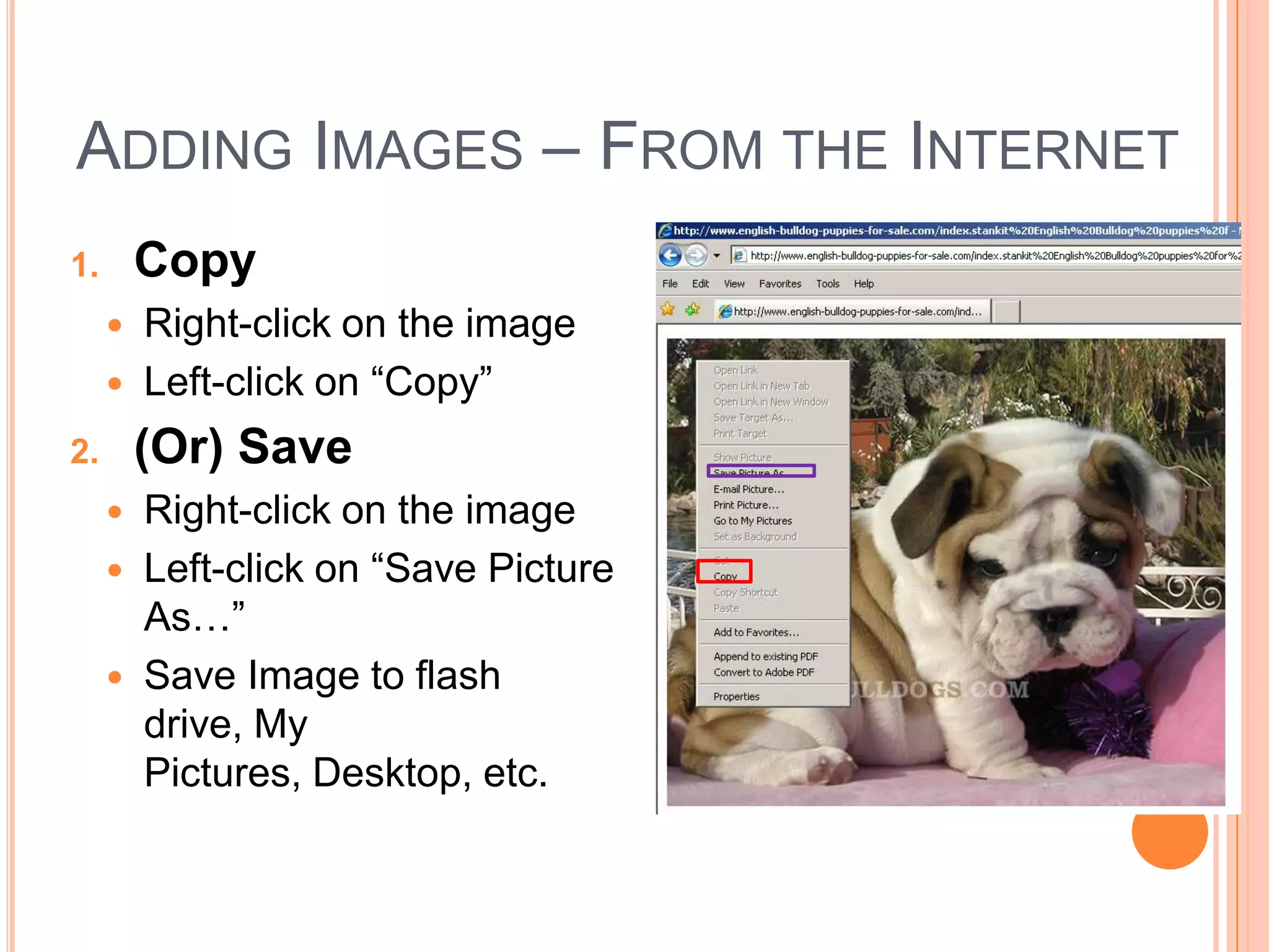ADDING IMAGES – FROM THE INTERNET
1. Copy
 Right-click on the image
 Left-click on “Copy”
2. (Or) Save
 Right-click on the image
 Left-click on “Save Picture
As…”
 Save Image to flash
drive, My
Pictures, Desktop, etc.
 