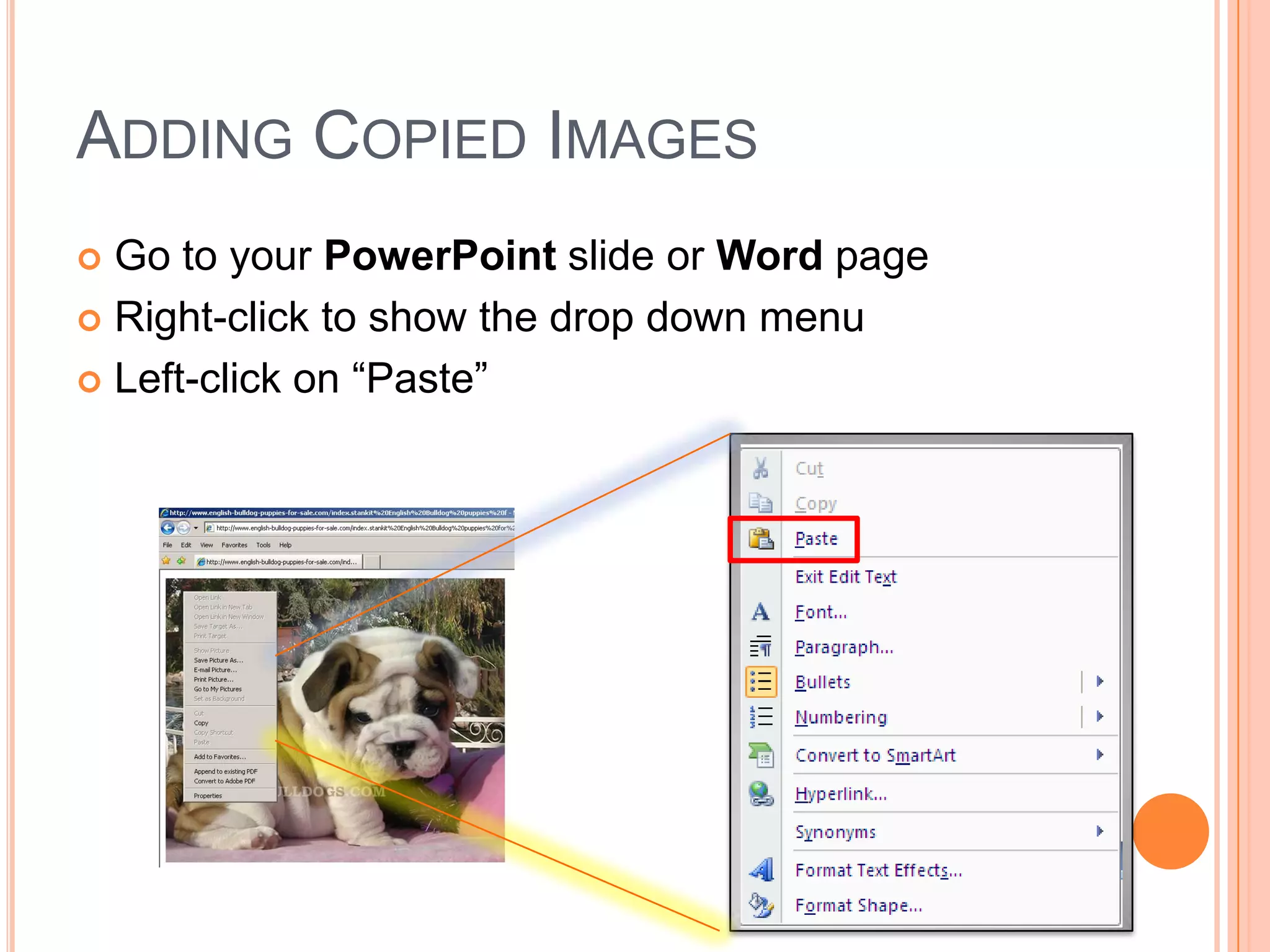 ADDING COPIED IMAGES
 Go to your PowerPoint slide or Word page
 Right-click to show the drop down menu
 Left-click on “Paste”
 