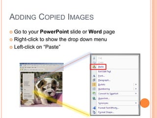 ADDING COPIED IMAGES
 Go to your PowerPoint slide or Word page
 Right-click to show the drop down menu
 Left-click on “Paste”
 
